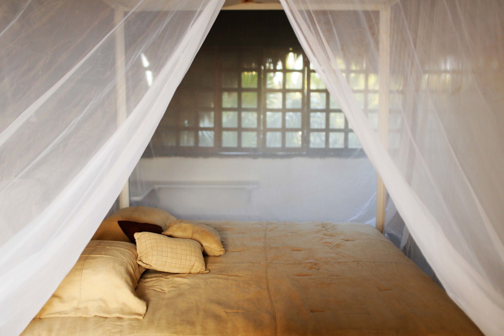 Casa Selva De Luz Appartement Tulum Pueblo Buitenkant foto